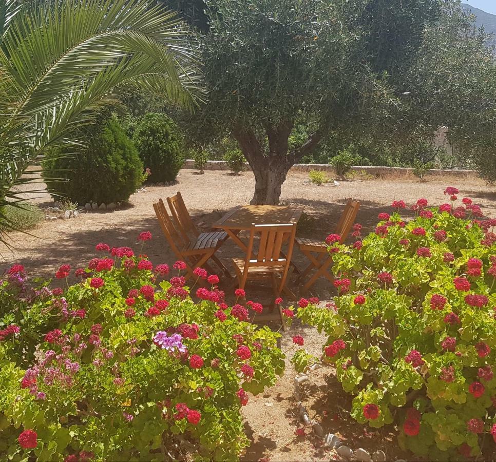 Tilos Fantasy Livadia  ภายนอก รูปภาพ